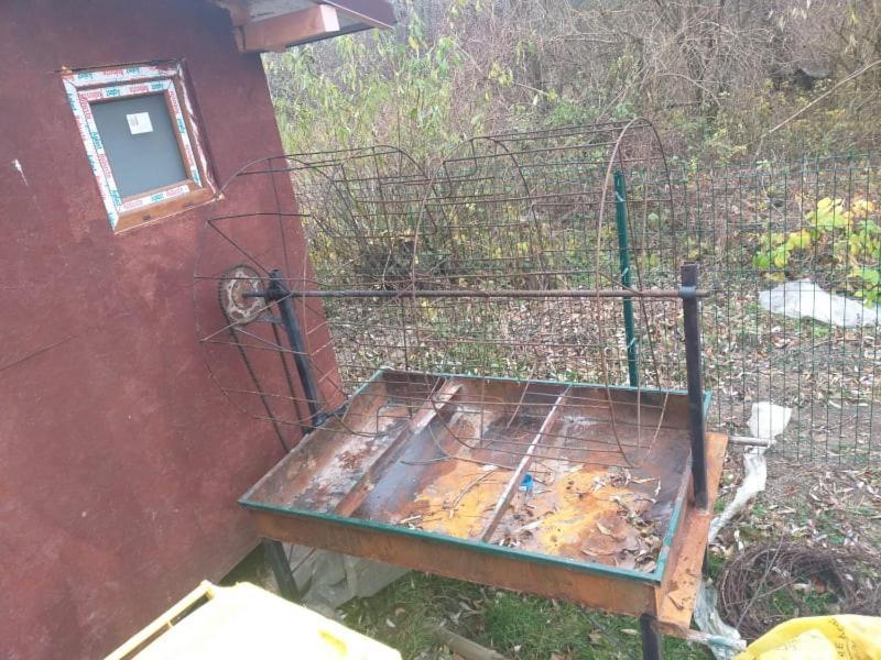 Vila Popasul Dacilor Predelut Exteriér fotografie